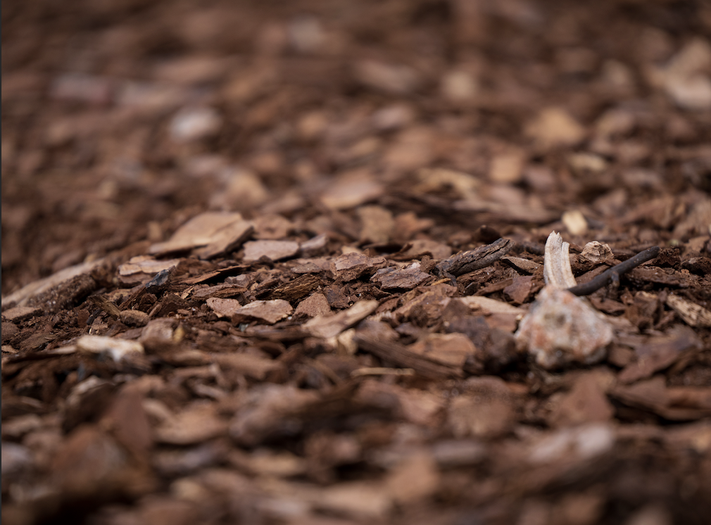 Which Mulch is Best for Your Landscape? | McDonald Garden Center